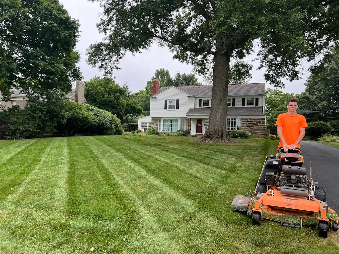 Landscaping project
